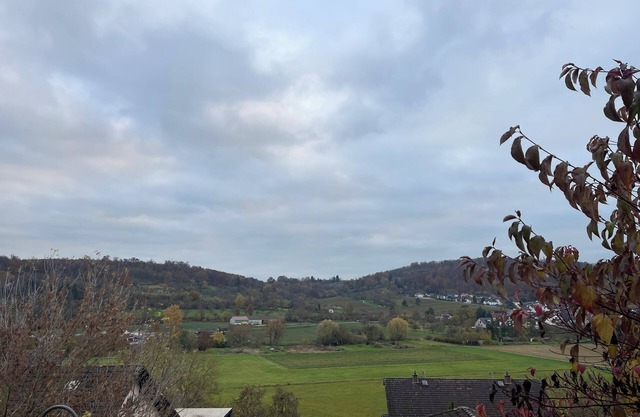 Apartment with a direct view of the Glauberg in a quiet location! Cycling and hiking trails