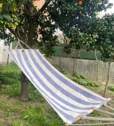 Apartment with balconies and garden