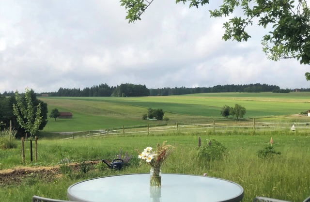 Apartment with forest view near bathing lake
