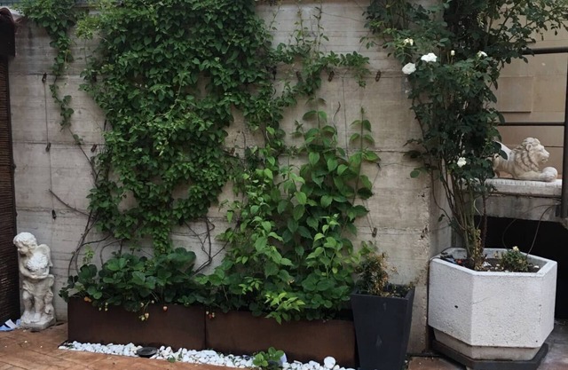 APARTMENT WITH GARDEN