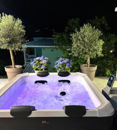 Apartments and spa MIONA