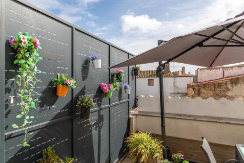Apartments BICO DE RODAS a Rural Luxury