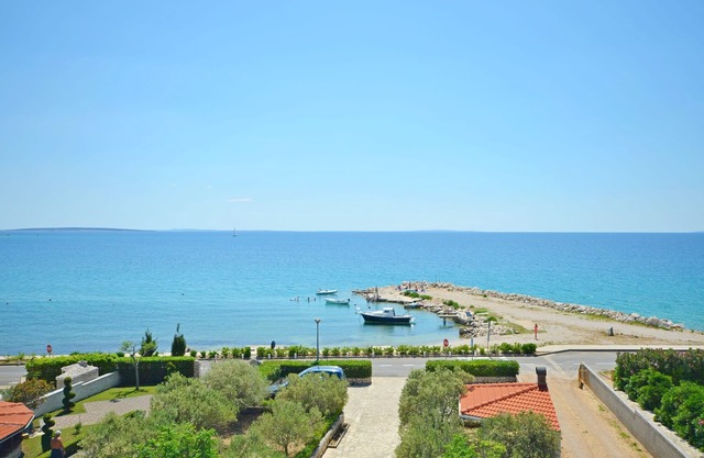 Apartments Daniela Della (58081-A4) - Novalja - island Pag