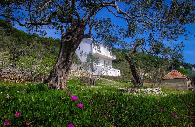 Apartments Frano Ropa