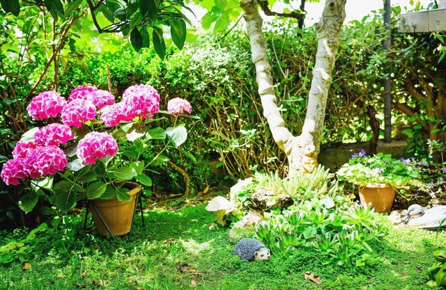 Apartments Ivan Kožino 