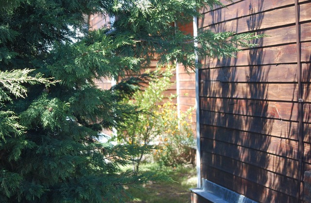 Aparts Casas Del Centro El Chaltén