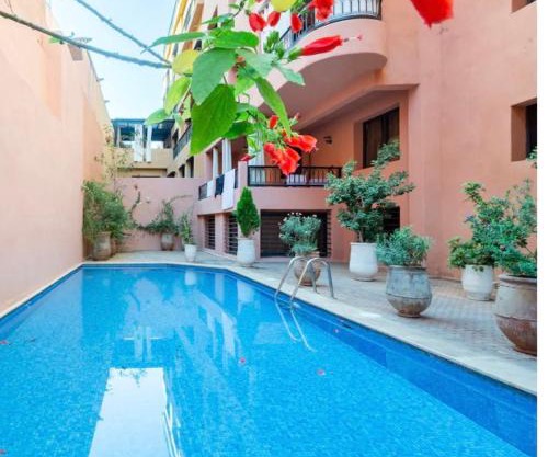 Appart cosy centre-ville piscine et terrasse