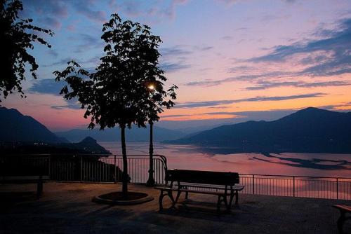 Appartamento IL Tulipano