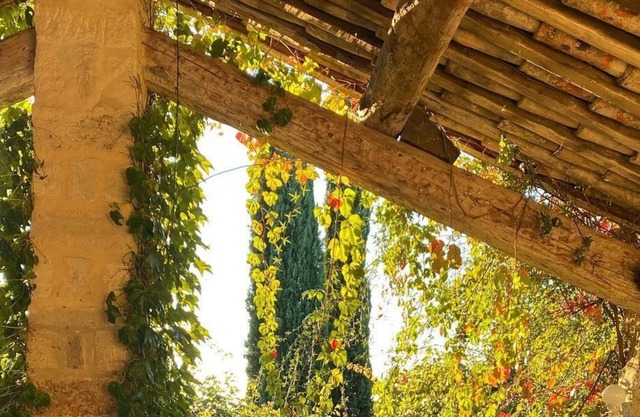 Appartement au Coeur de la Nature