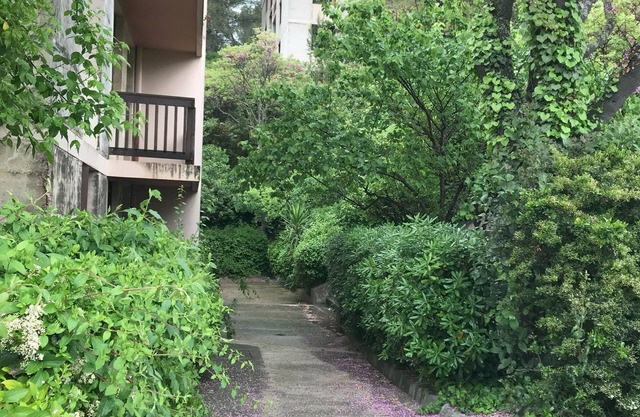 Appartement Bohème - Colline en Ville - 20min walk from downtown Aix!