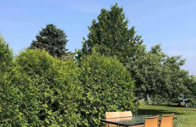 Appartement Insulaire Avec vue sur le Fleuve !