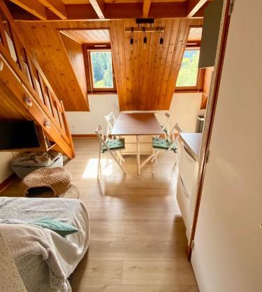 Appartement Chalet à 1400m - Station du Mourtis