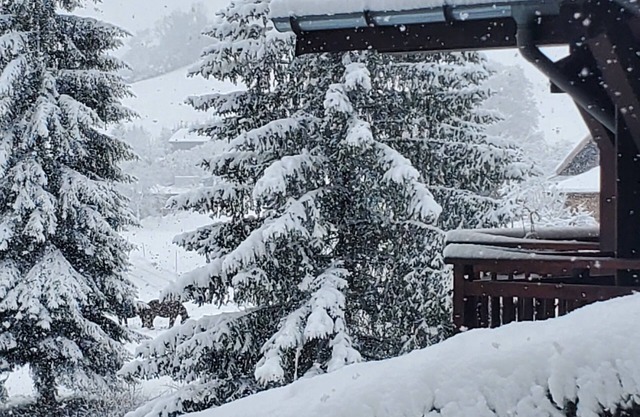 Appartement de 3 Pièces et Jardin - Megeve