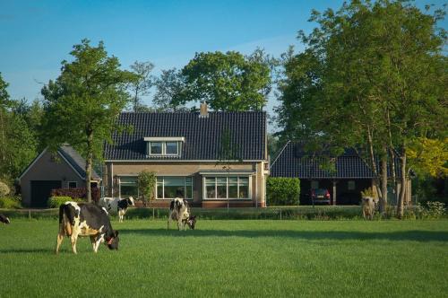 Appartement Hoornsterzwaag, landelijk gelegen