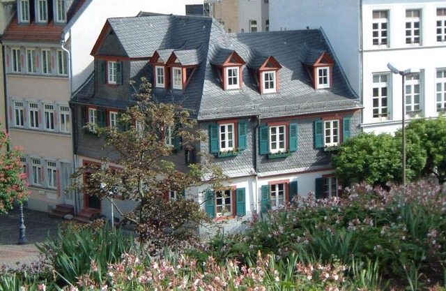 Appartement Kirschgarten Mainz Rochusstraße