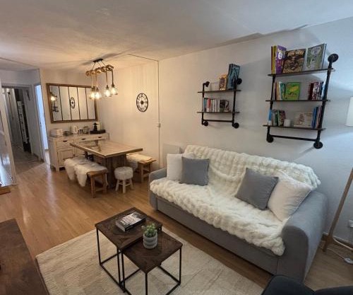 Appartement La Mongie au pied des pistes T2 46 m2 parking et wifi