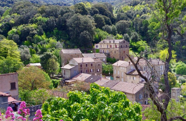 Appartement T3 Montagne Proche mer