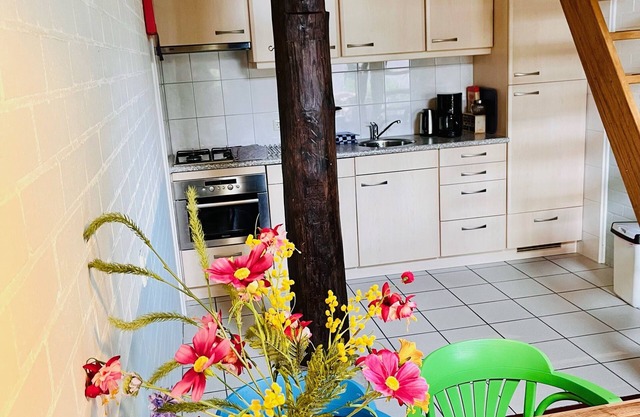Appartementenboerderij 'de Veurdeale' in Havelte, Steenworp van Giethoorn