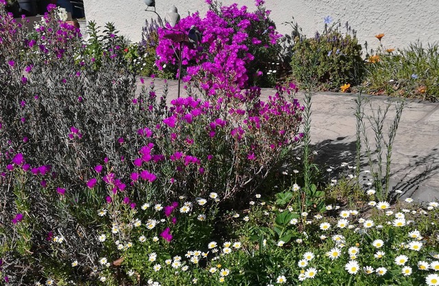 AppleBee Guest Cottages