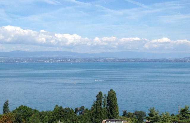 Appt F3 800m from Golf d'Evian, superb lake view in residence with swimming pool (4/6p)