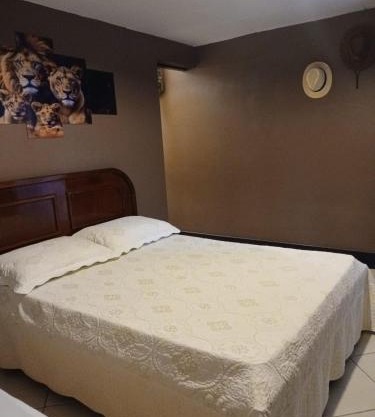 Apto Semi-subterrâneo completo