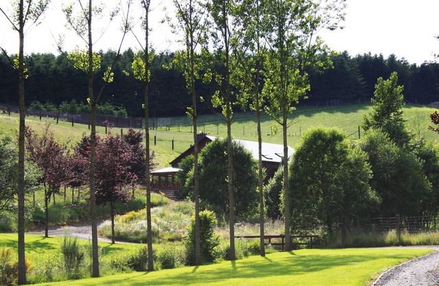 Ardennes gîte surrounded by game parks, at the foot of the Anlier forest