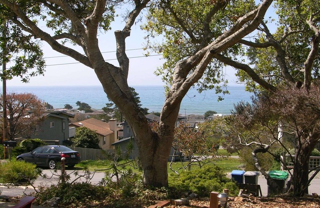 Artist's Oceanview Cottage in Beautiful Cambria, California