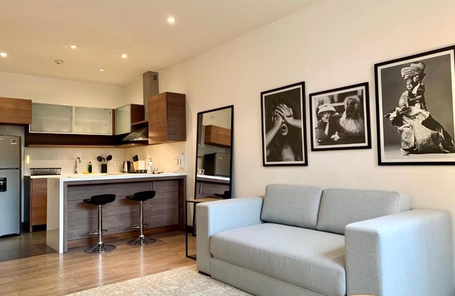 Artistic Loft in Luxury Building