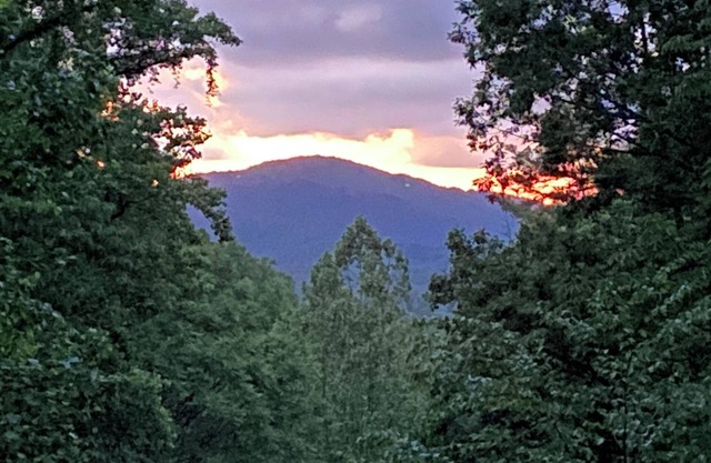 Asheville Mtn Side Cabin: Large Porch-Hot Tub-Trail-2 Streams-7 Wooded Acres!