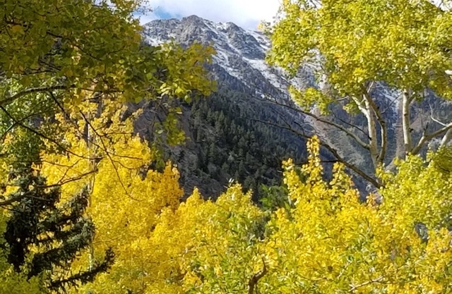 Aspen Grove with a cozy fireplace and a hot tub, come take the chill off!