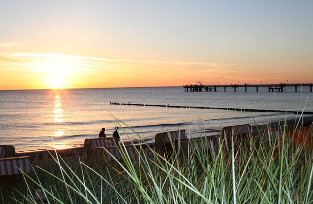 At the blacksmith's street "Tern" - At the blacksmith's street "Tern"