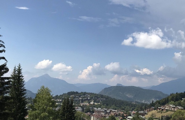 At the foot of the slopes (265 kms) in Les Carroz d'Araches, a 35 m studio cabin (4à6)