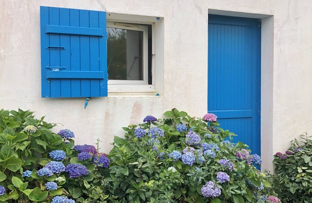 At the foot of the dunes and the beach! Ideal for a quiet place