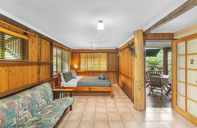 Atherton Blue Gum