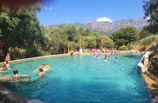 Authentic 18th-century mill with 120 m² pool in 50-hectare olive grove.