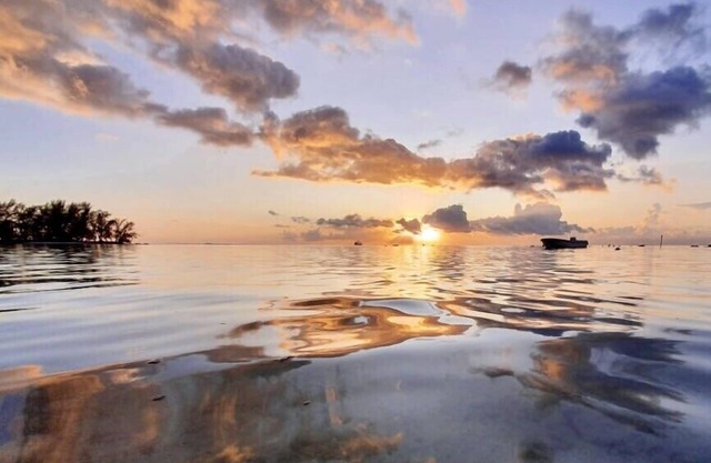 Auti studio, direct access to the beach on Moorea, with A/C -WiFi - Netflix