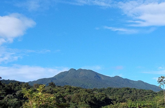 Automated RV Space check in at RVin.CR - Full Hook Up Spaces Only