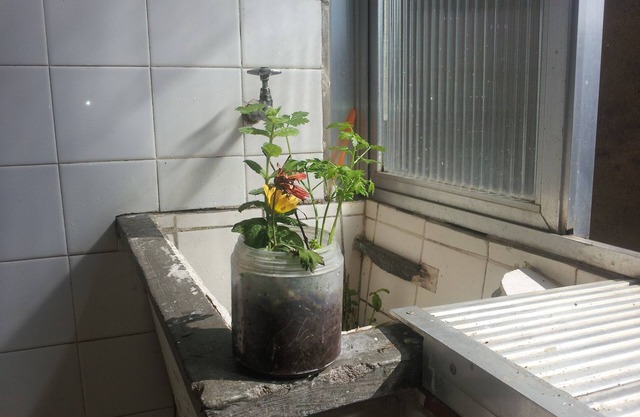 Available to rent apartment. 1 bedroom 13 m², with furnished bathroom. Large pieces.