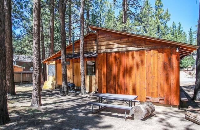 Avalon Hide OUT #1336