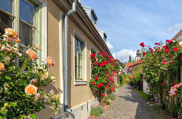Awesome apartment in Visby with WiFi