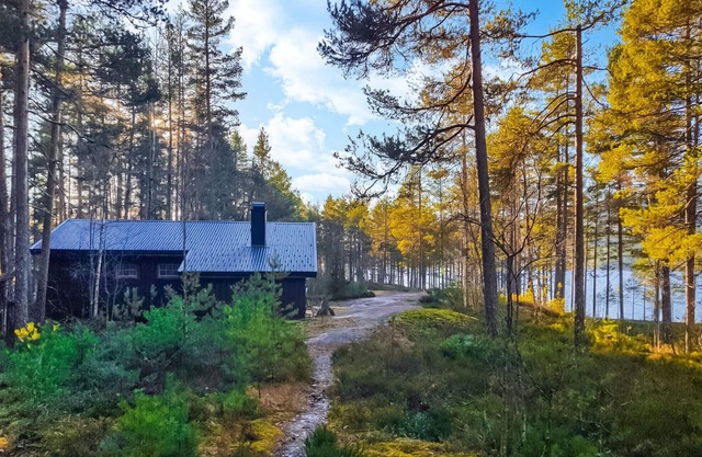 Awesome home in Fyresdal with kitchen