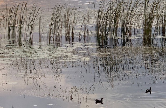 Awesome Townhome Beautiful Lake! Clean! Near EPIC Universal Disney Convention