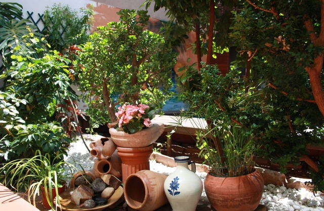 B&B Domus Atilia