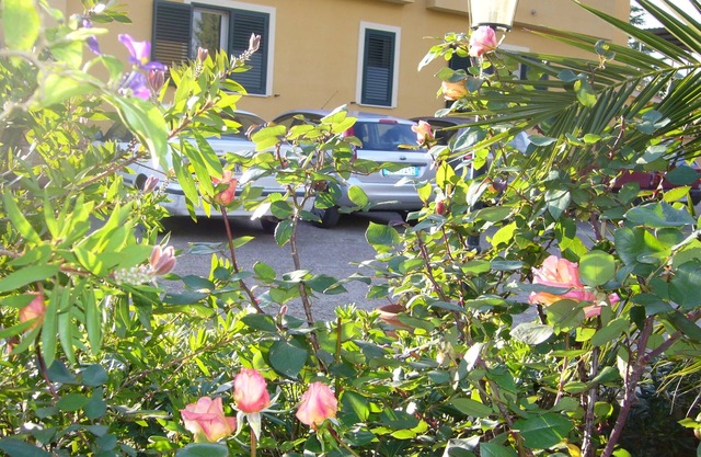 B&B S. ELIA ORANGE room: ENCHANTING VILLA IMMERSED IN THE HISTORICAL PARK DUBINI