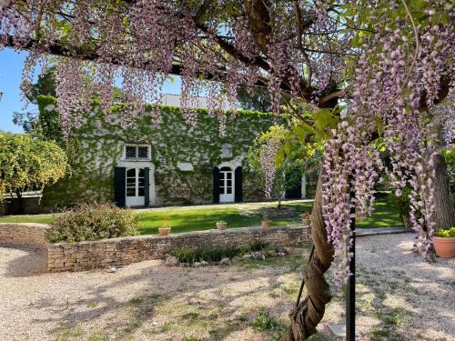 B&B Torre Grande