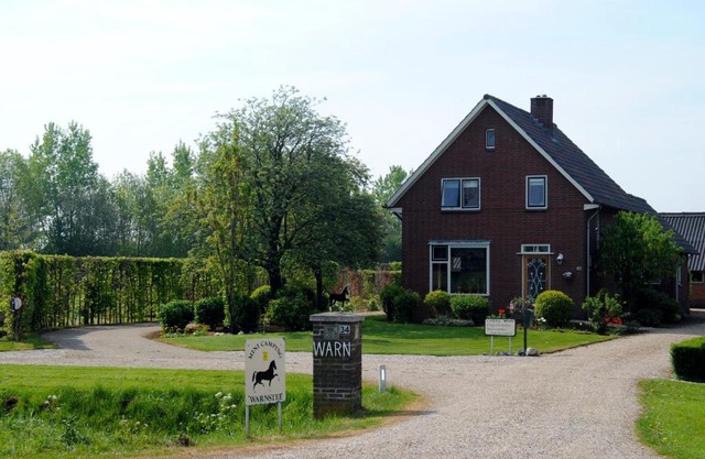 B&B Warnstee
