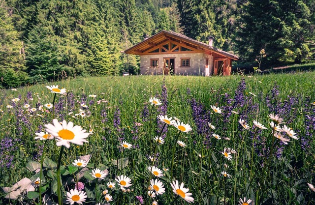 Baita Valon - Alpine Hideaway