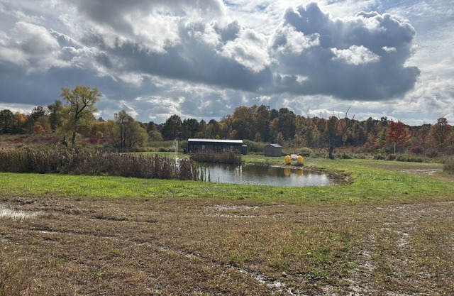 BAM Acres Cabin
