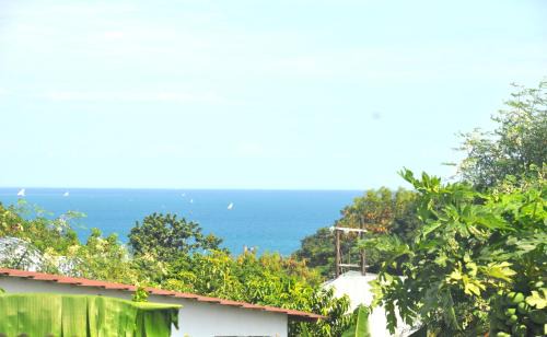 Bamboo Garden B&B