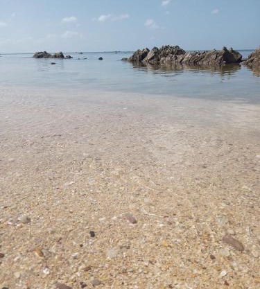 Bangkaew Camping place bangalow